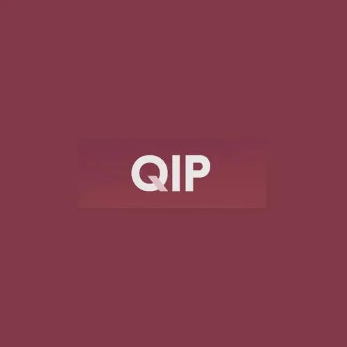 Q Investment Partners